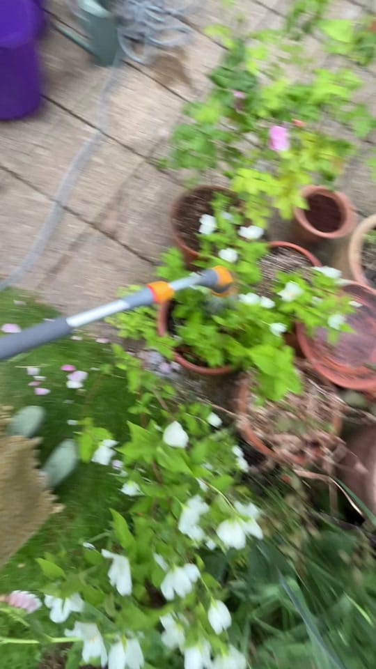 Post 1 by Emma Jo Real-Davies on TikTok (video)