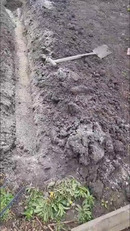 Post 7 by peas_inapod_ on TikTok (video)