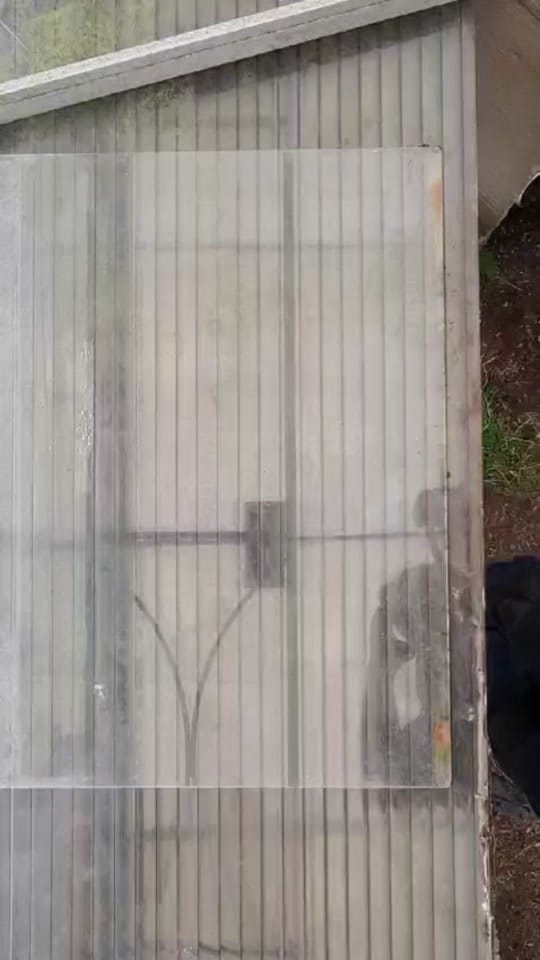Post 6 by peas_inapod_ on TikTok (video)
