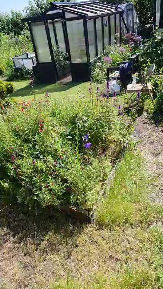 Post 2 by peas_inapod_ on TikTok (video)