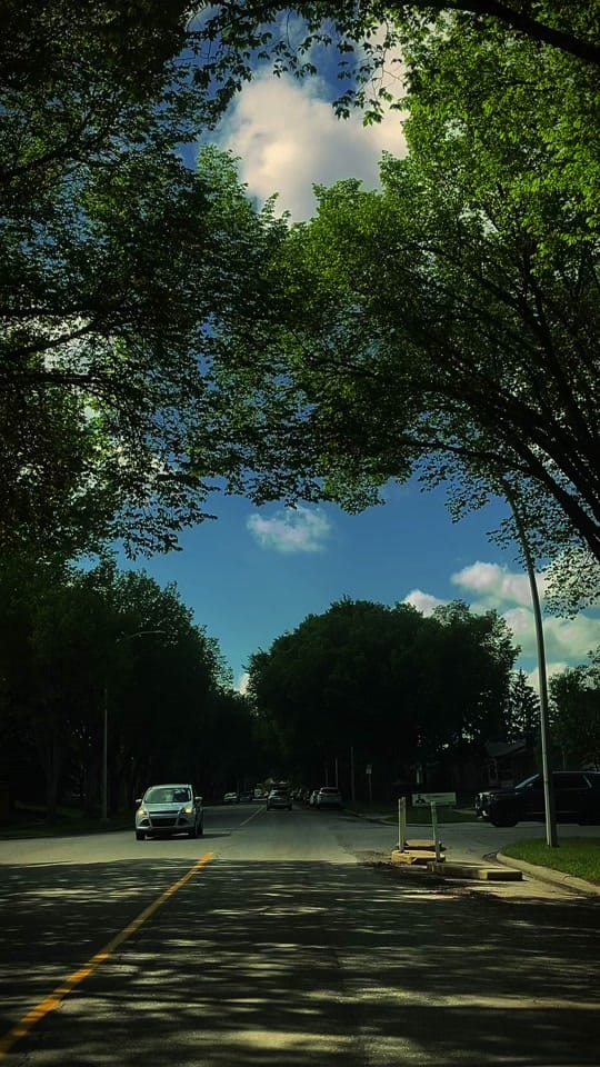 Post 7 by Gj.sweetandsavoury on TikTok (video)