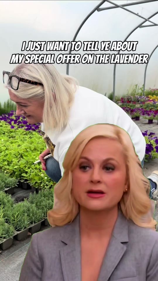 Post 4 by Ahern Nurseries 087 1671884 on TikTok (video)