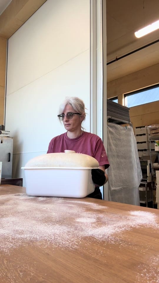 Post 1 by Audrey | Artisan Sourdough on TikTok (video)