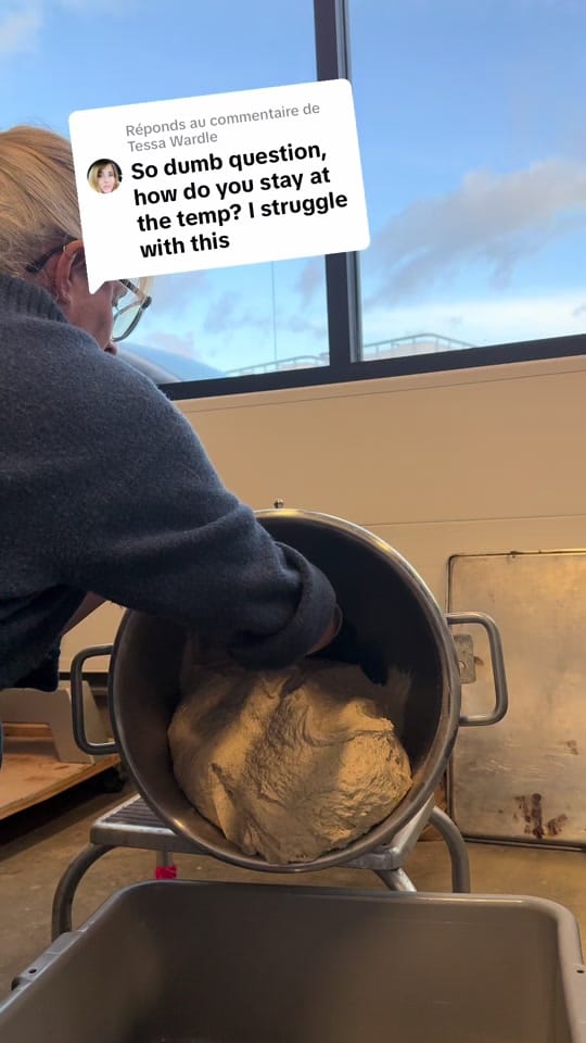 Post 7 by Audrey | Artisan Sourdough on TikTok (video)