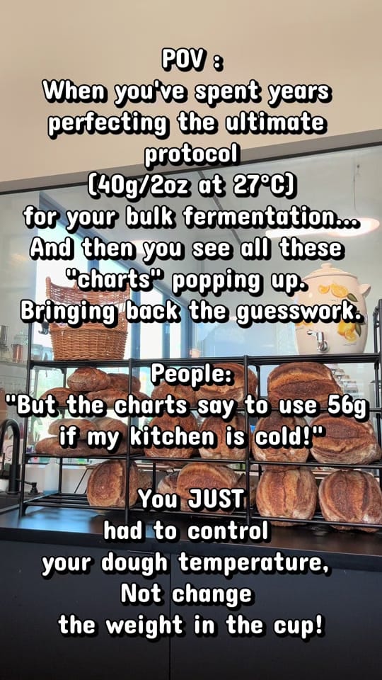 Post 6 by Audrey | Artisan Sourdough on TikTok (video)