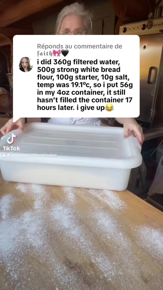 Post 10 by Audrey | Artisan Sourdough on TikTok (video)