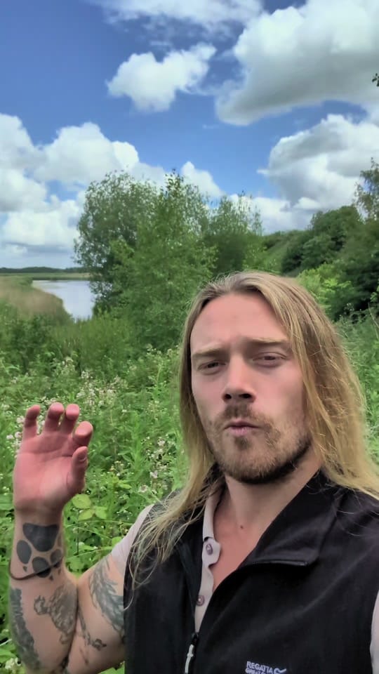Post 7 by Skott on TikTok (video)
