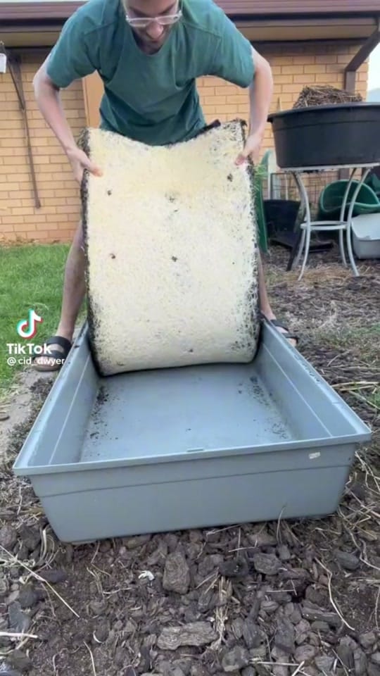 Post 9 by Parc Farm on TikTok (video)