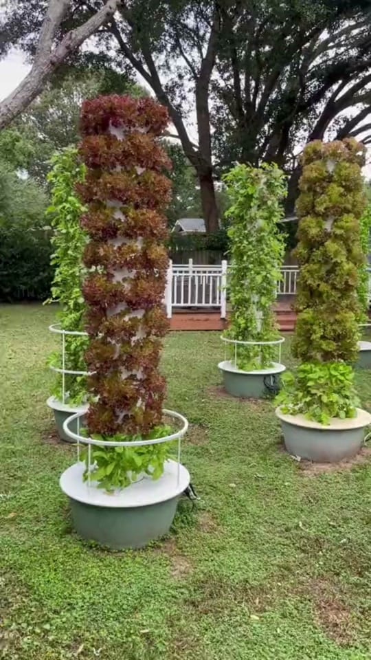 Post 8 by Parc Farm on TikTok (video)