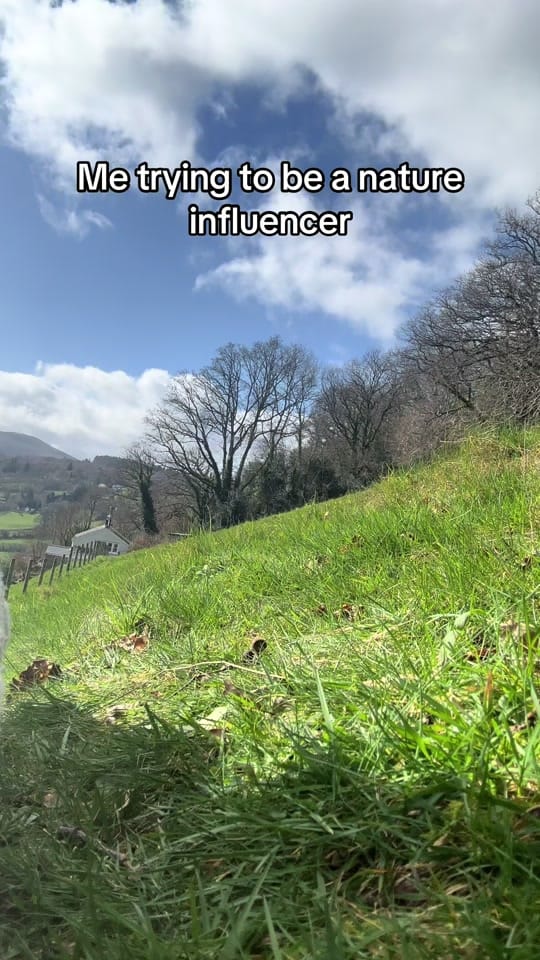 Post 6 by The Beardy Gardener on TikTok (video)