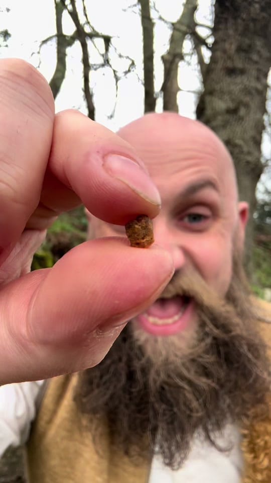 Post 10 by The Beardy Gardener on TikTok (video)
