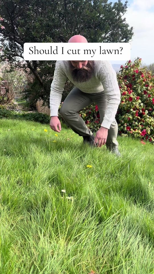 Post 1 by The Beardy Gardener on TikTok (video)
