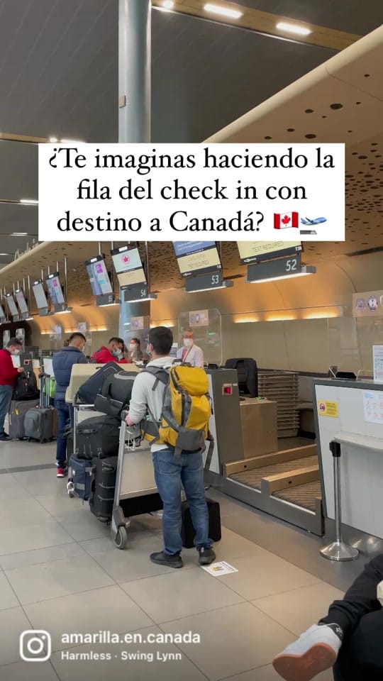 Post 10 by cami - amarilla en canadá 💛 on TikTok (video)