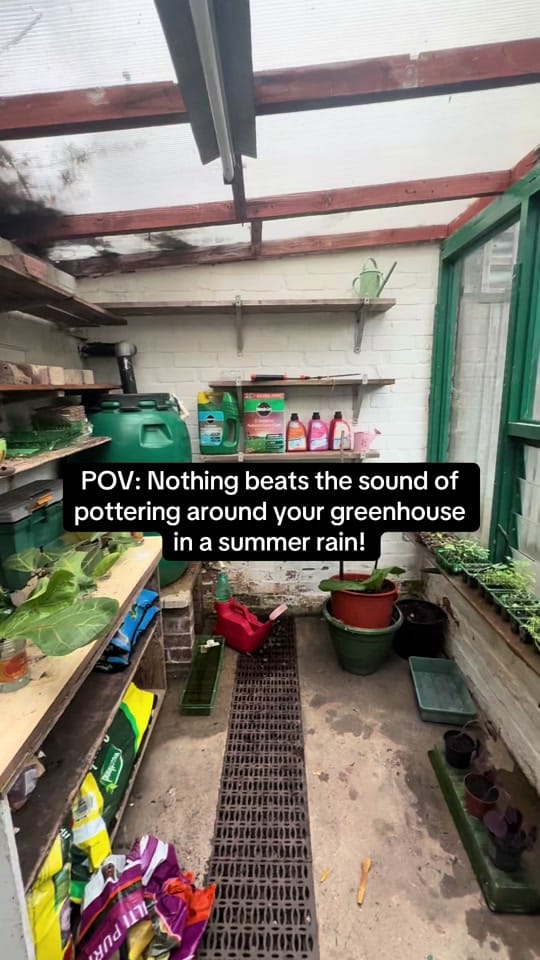 Post 4 by our1908revival on TikTok (video)
