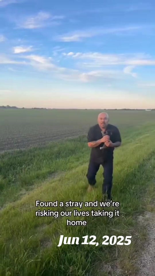 Post 2 by 🇨🇦𝐉𝐨𝐧 𝐅𝐢𝐨𝐫𝐢𝐧𝐨🇮🇹 on TikTok (video)