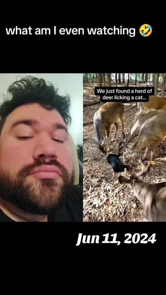 Post 10 by 🇨🇦𝐉𝐨𝐧 𝐅𝐢𝐨𝐫𝐢𝐧𝐨🇮🇹 on TikTok (video)