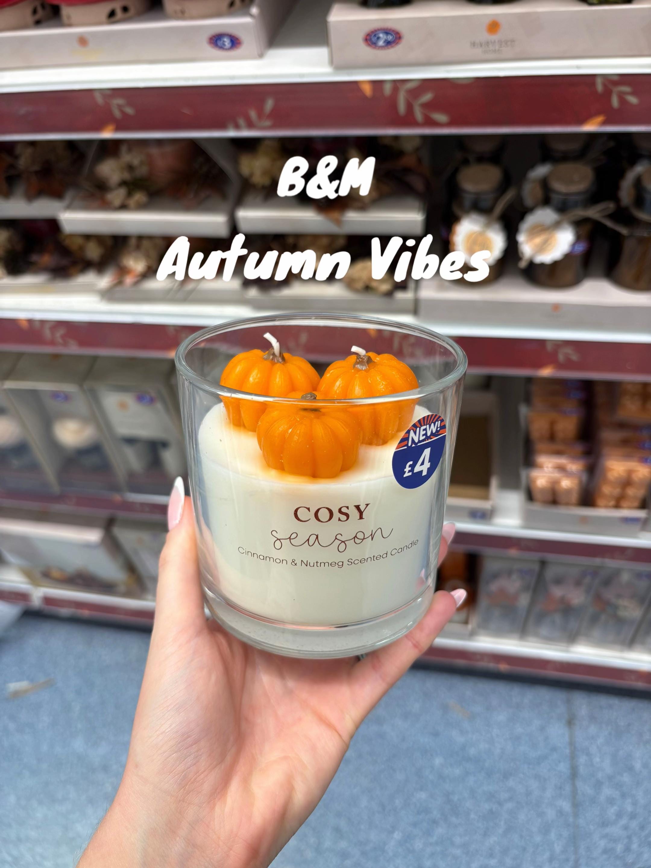 Post 8 by At Home With The Lows on TikTok (video)