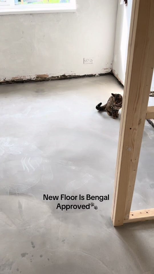 Post 5 by Sophie Town Girl on TikTok (video)