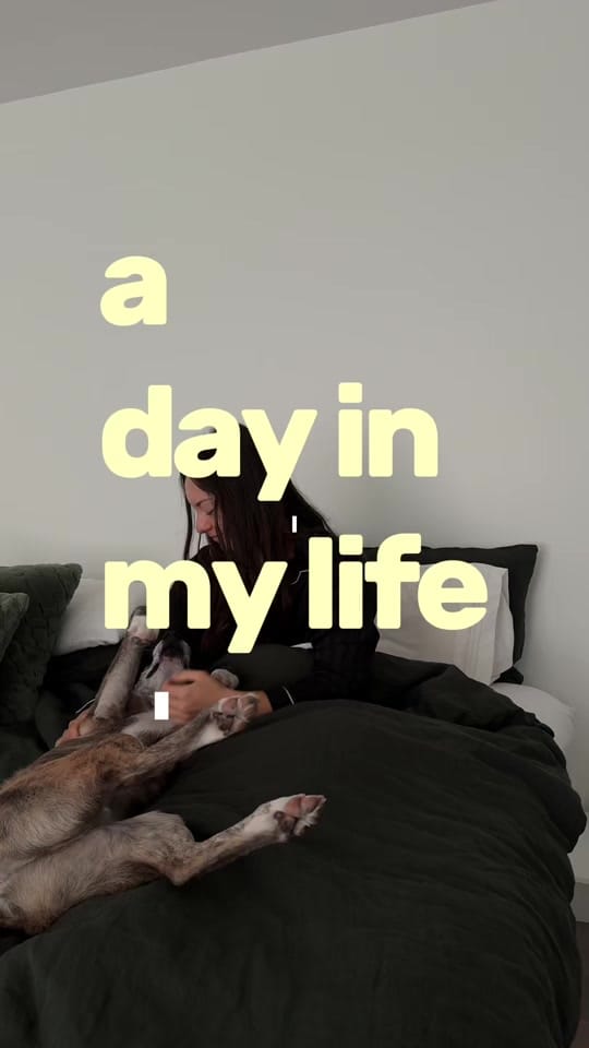Post 8 by Montana Valverde on TikTok (video)