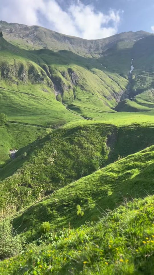 Post 2 by Lifewithozi on TikTok (video)