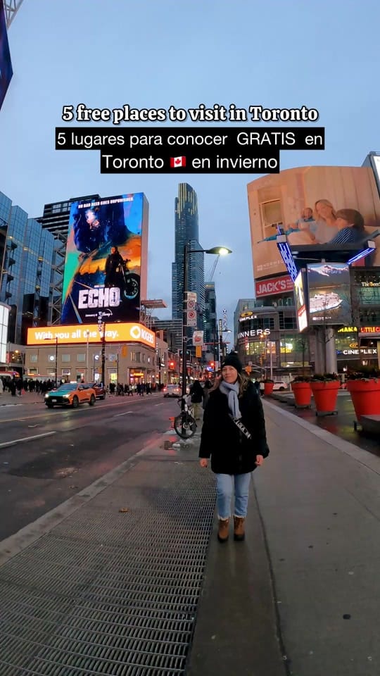 Post 8 by Vanessa | Toronto Creator on TikTok (video)