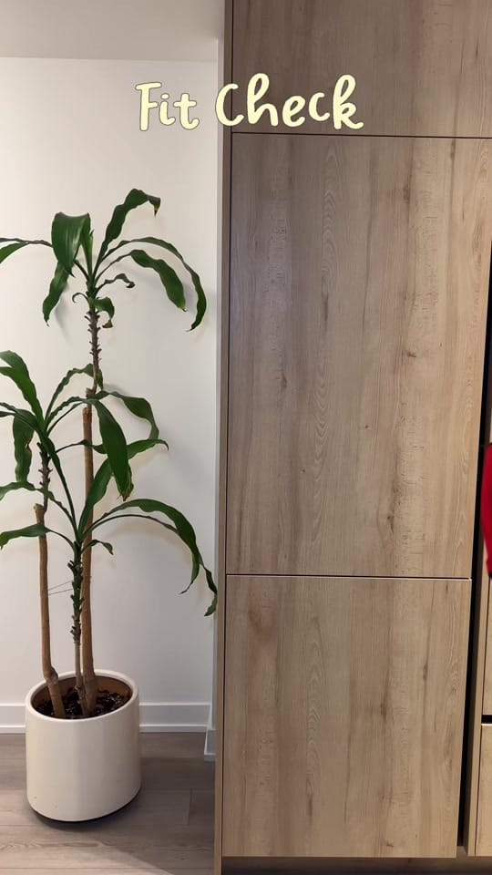 Post 3 by Vanessa | Toronto Creator on TikTok (video)