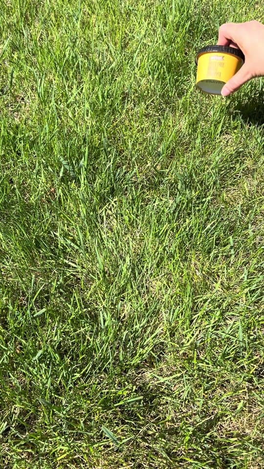 Post 7 by Righteous Gelato on TikTok (video)