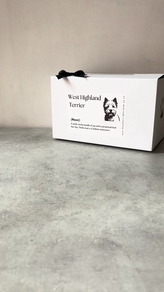 Post 6 by Miss Connie Candles on TikTok (video)