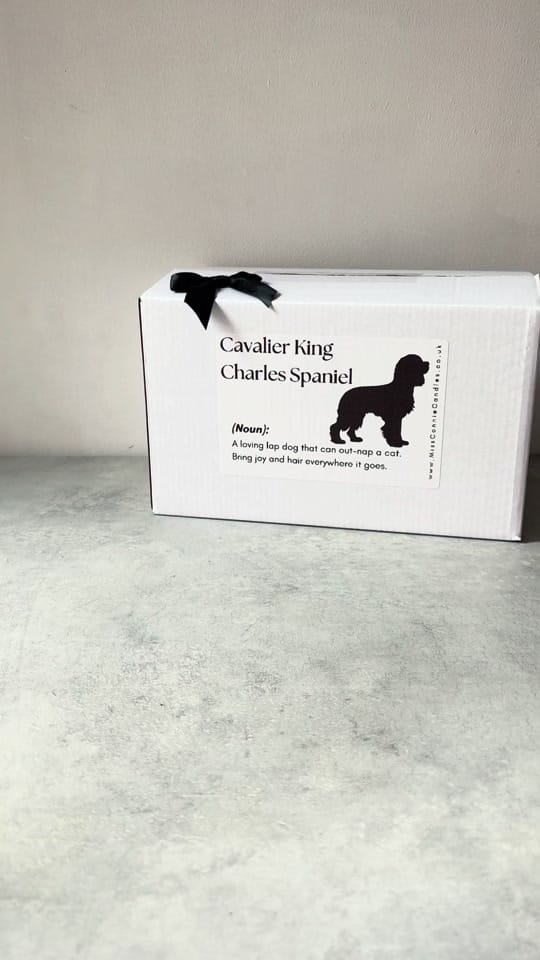 Post 1 by Miss Connie Candles on TikTok (video)