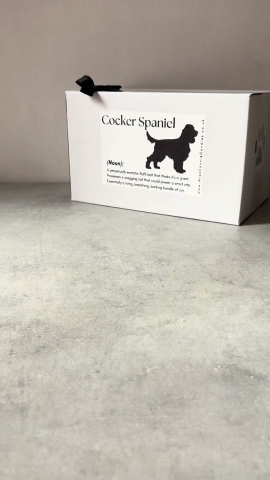 Post 3 by Miss Connie Candles on TikTok (video)