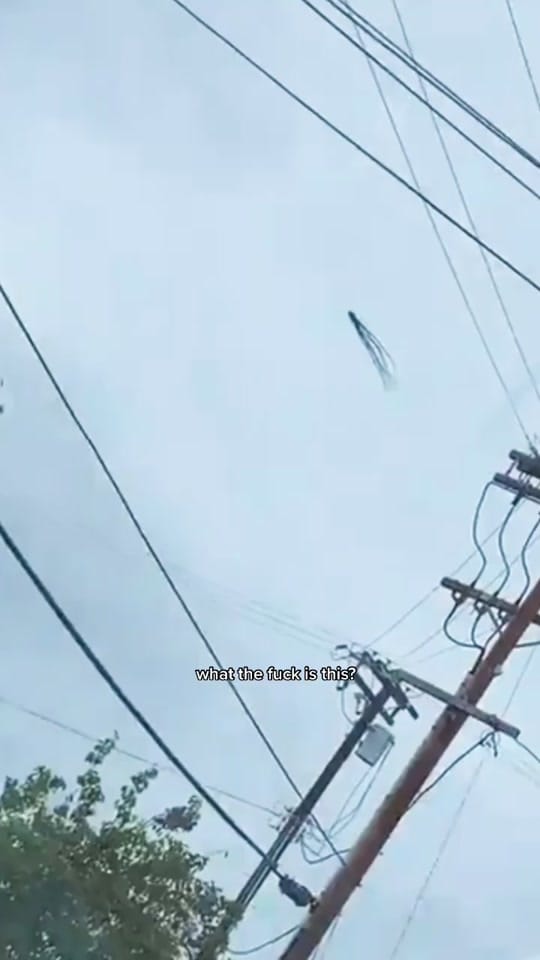 Post 9 by Kid Shyne on TikTok (video)