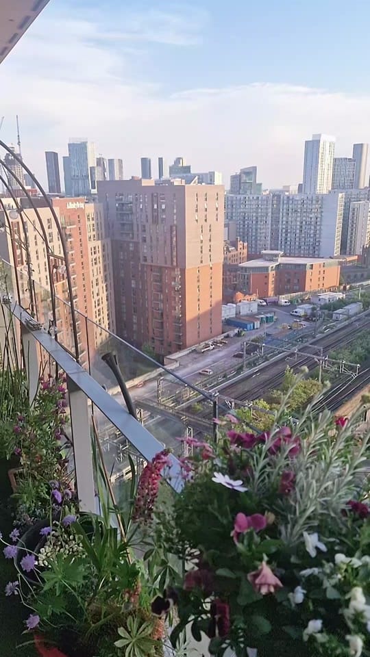 Post 7 by Cloud Gardener UK on TikTok (video)