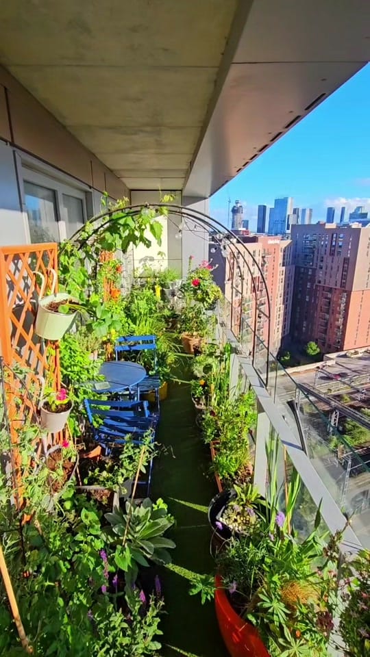 Post 3 by Cloud Gardener UK on TikTok (video)