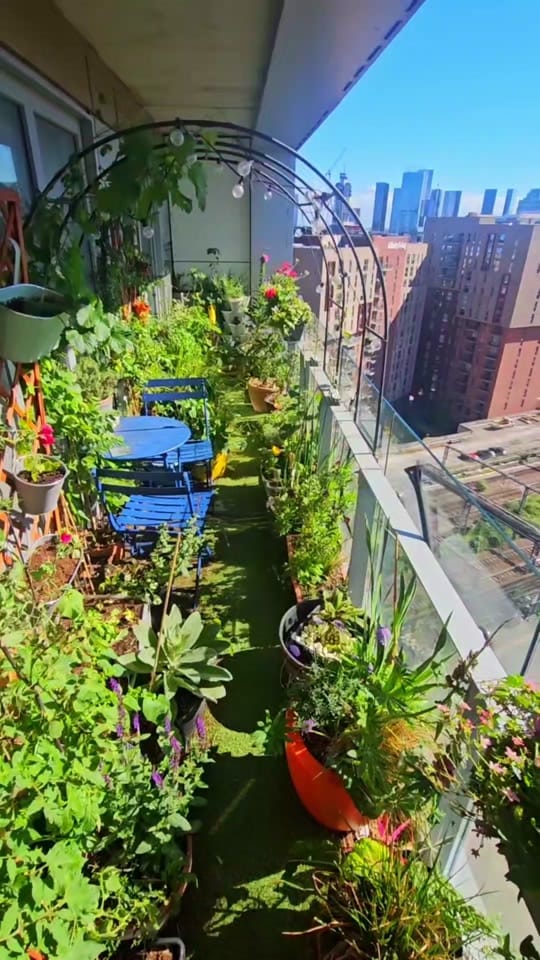 Post 2 by Cloud Gardener UK on TikTok (video)