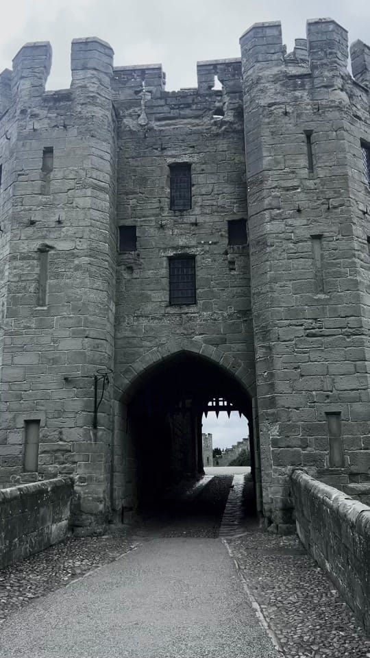 Post 3 by 𝐸𝓂🕸️ on TikTok (video)