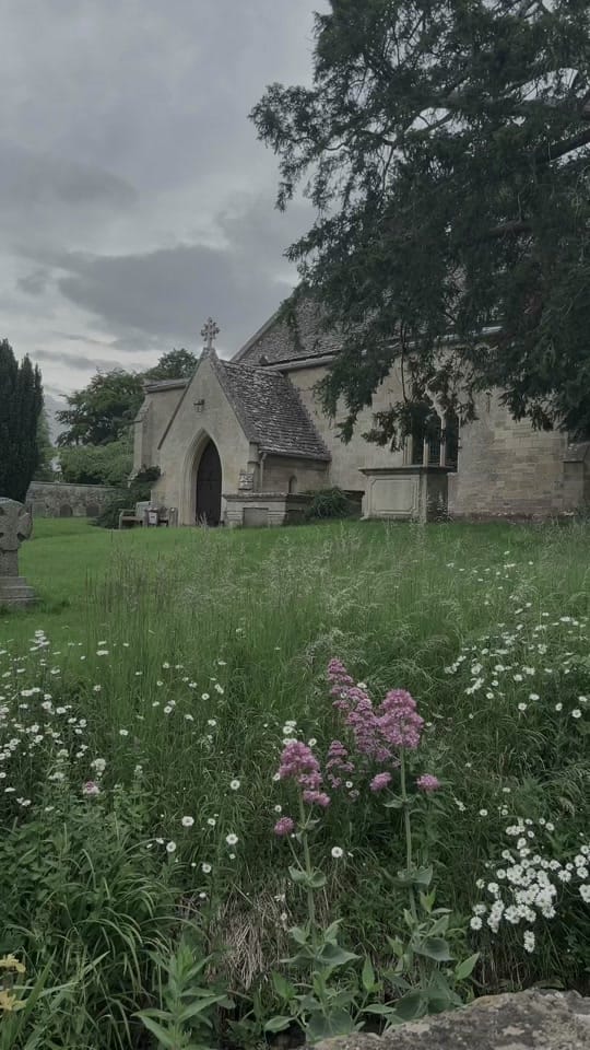 Post 10 by 𝐸𝓂🕸️ on TikTok (video)