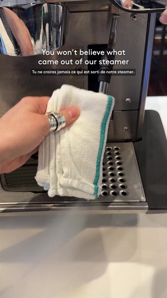 Post 10 by Second Cup Café on TikTok (video)