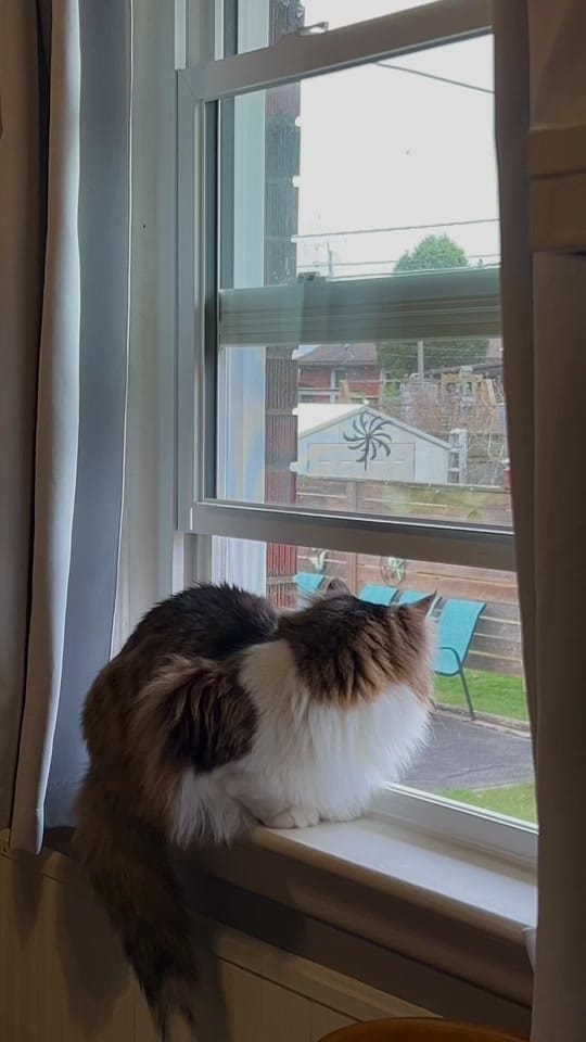 Post 2 by wellwithsyd on TikTok (video)