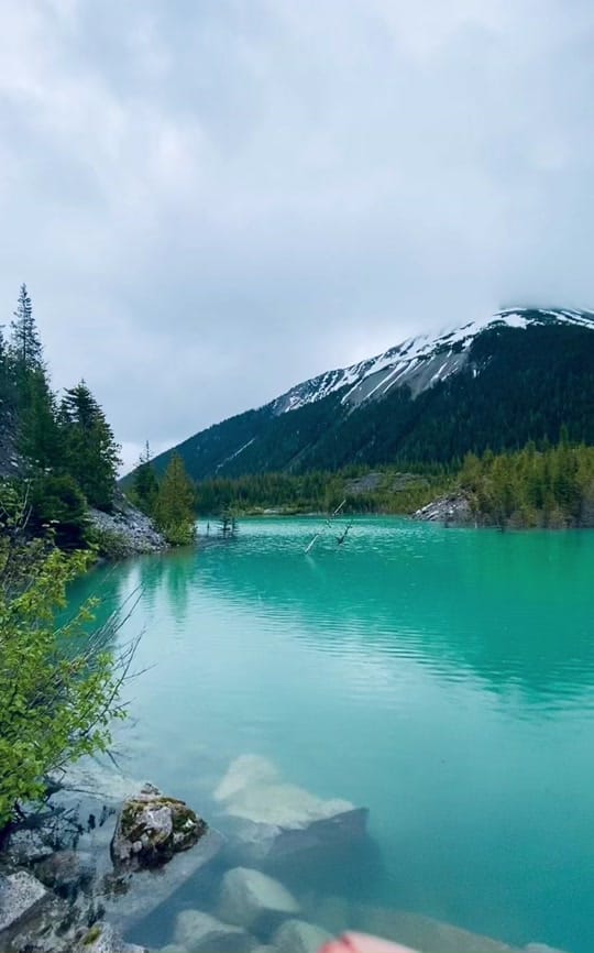 Post 10 by thenativepod on TikTok (video)