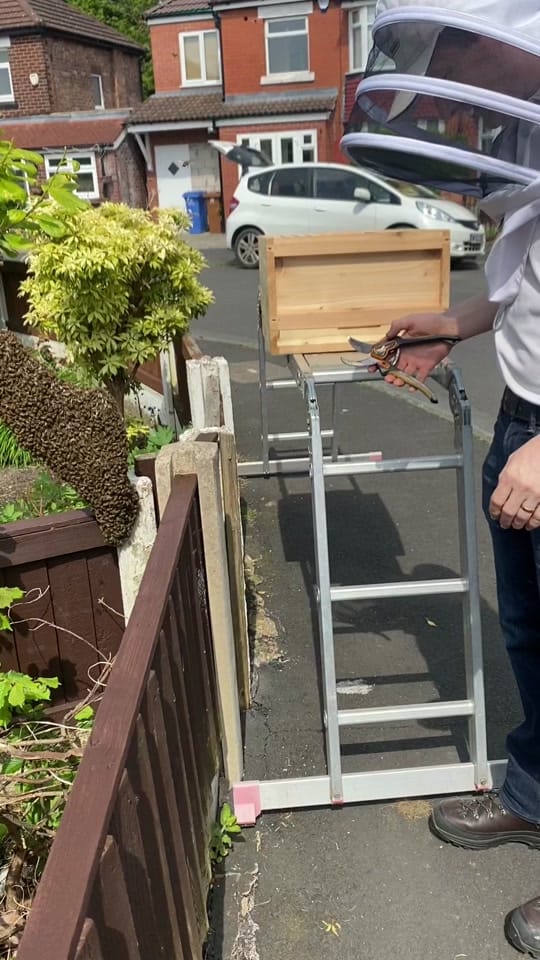 Post 8 by ManchesterHoneyCompany on TikTok (video)