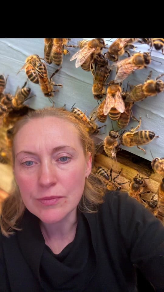 Post 7 by ManchesterHoneyCompany on TikTok (video)