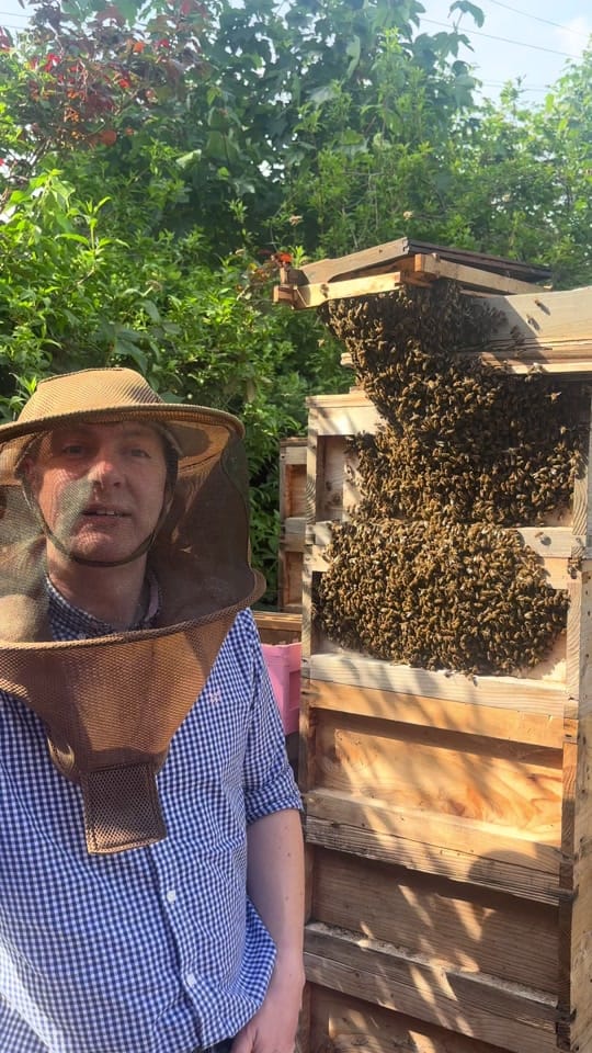 Post 2 by ManchesterHoneyCompany on TikTok (video)