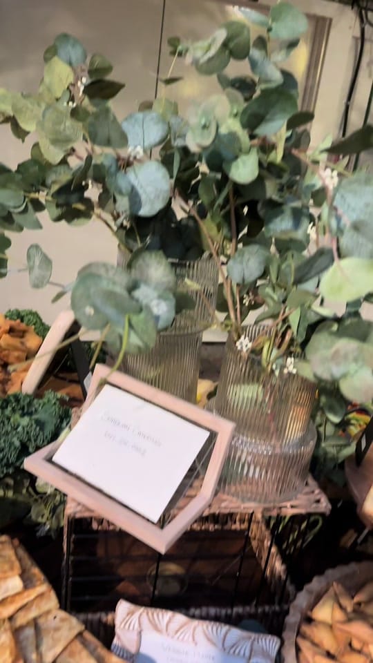 Post 3 by Shabnam Catering on TikTok (video)