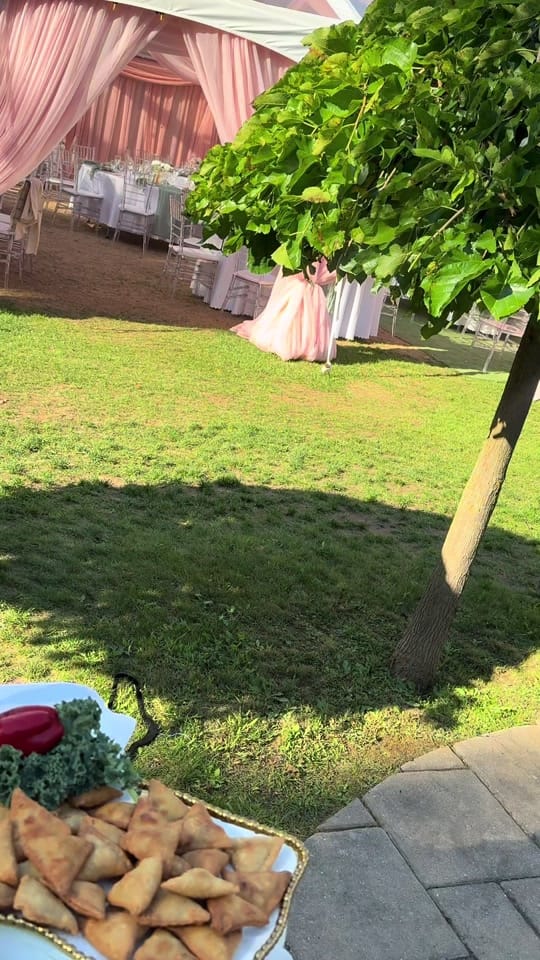 Post 6 by Shabnam Catering on TikTok (video)