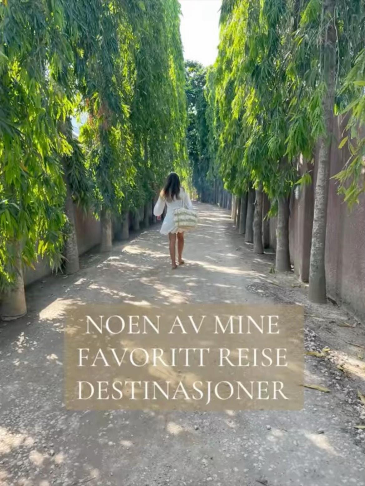 Post 1 by Madeleine Malmberg🪩 on TikTok (video)