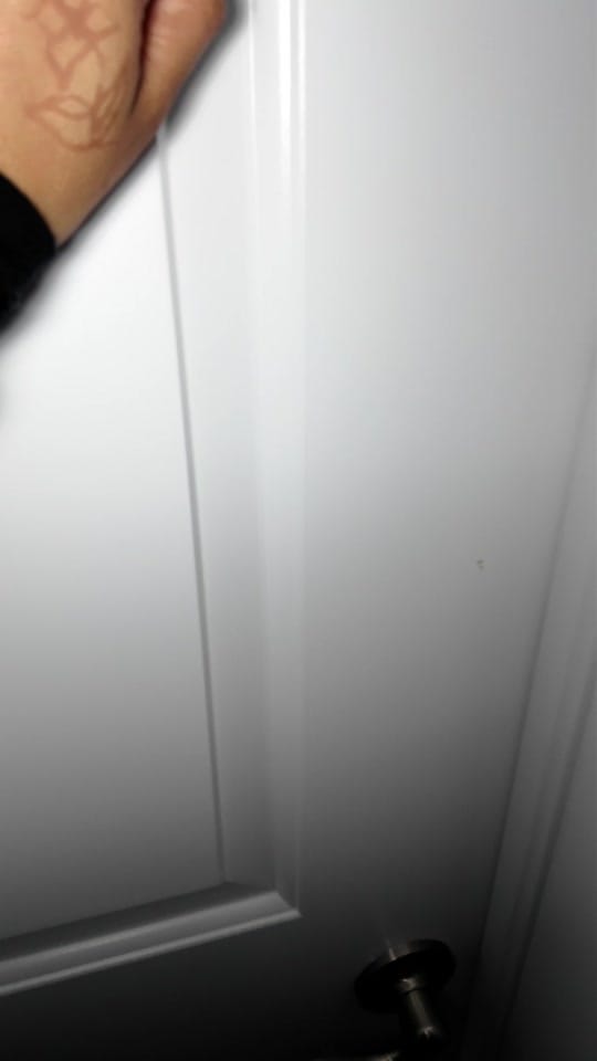 Post 2 by SAF 🧿 on TikTok (video)