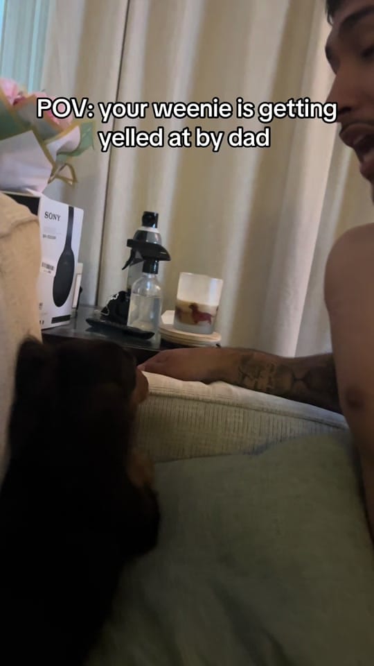 Post 6 by Gaby Garcia on TikTok (video)