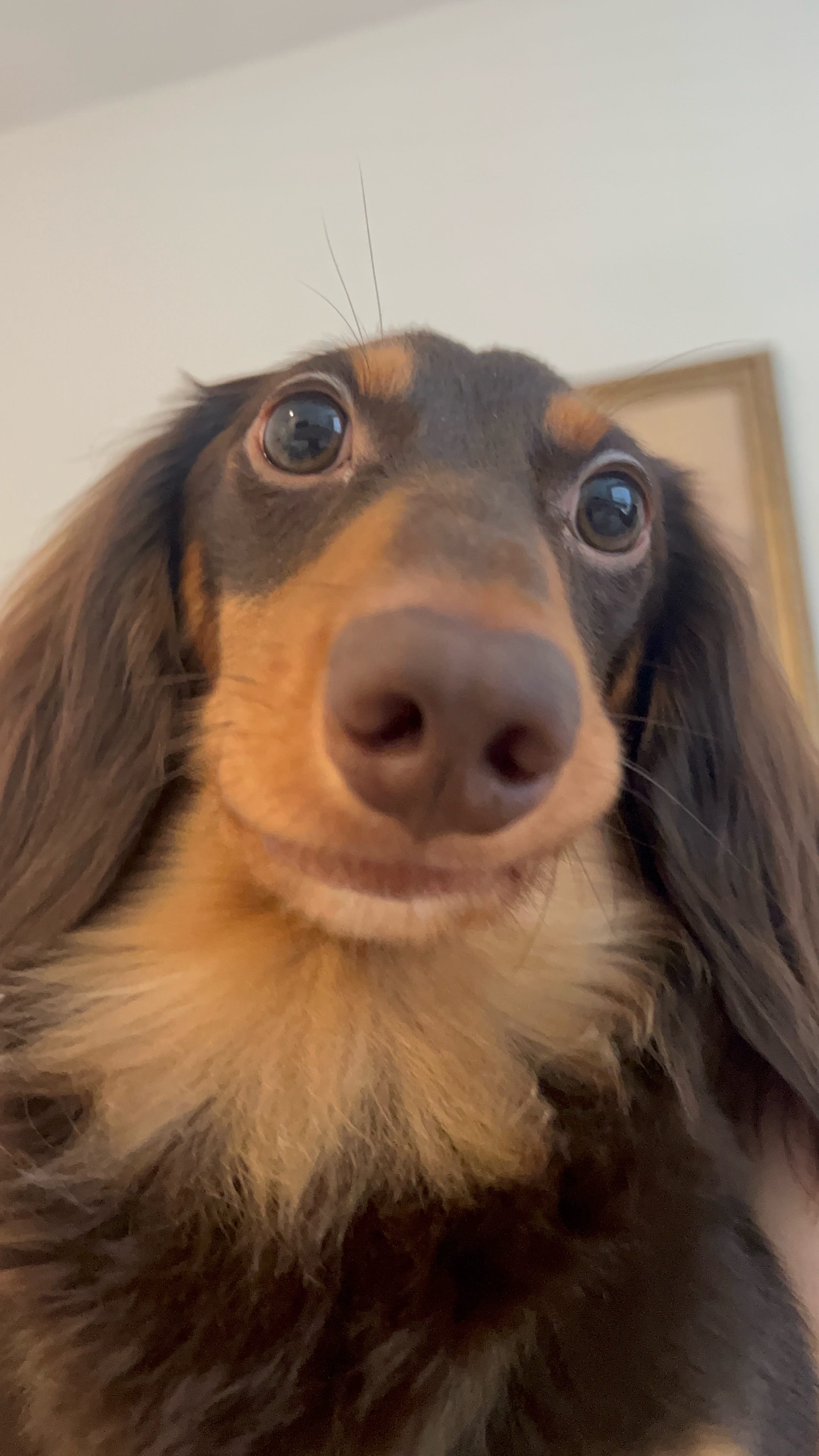 Post 3 by Gaby Garcia on TikTok (video)