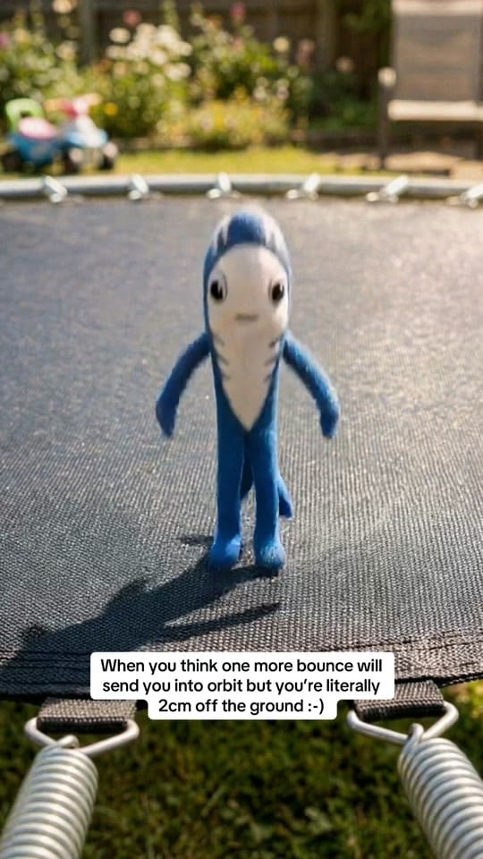 Post 5 by Sharky on TikTok (video)