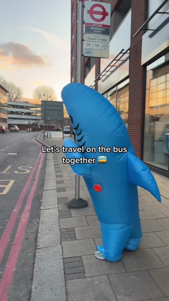 Post 8 by Sharky on TikTok (video)